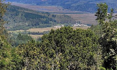 VIVE LA NATURALEZA DE VALDIVIA AL MEJOR PRECIO