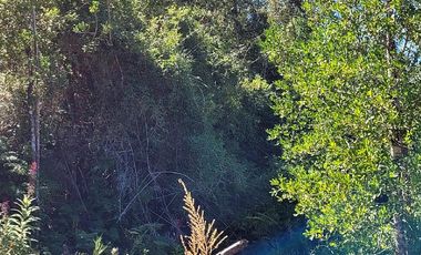 VIVE LA NATURALEZA DE VALDIVIA AL MEJOR PRECIO