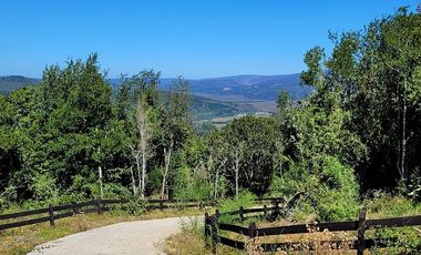 VIVE LA NATURALEZA DE VALDIVIA AL MEJOR PRECIO