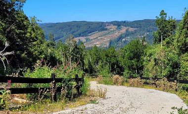 VIVE LA NATURALEZA DE VALDIVIA AL MEJOR PRECIO