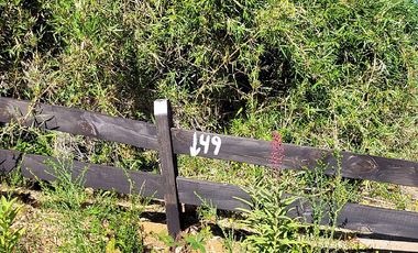 VIVE LA NATURALEZA DE VALDIVIA AL MEJOR PRECIO