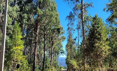 VIVE LA NATURALEZA DE VALDIVIA AL MEJOR PRECIO