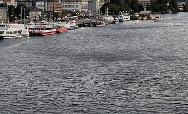 VIVE LA NATURALEZA DE VALDIVIA AL MEJOR PRECIO