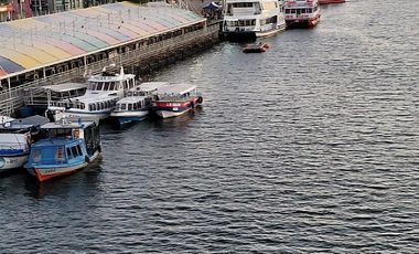 VIVE LA NATURALEZA DE VALDIVIA AL MEJOR PRECIO
