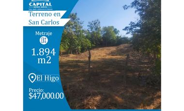 TERRENO EN SAN CARLOS  - EL HIGO
