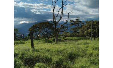 Vendo Lote en Ebejico, vía Santa Fe de Antioquia.