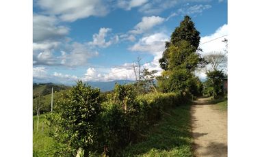 Vendo Lote en Ebejico, vía Santa Fe de Antioquia.