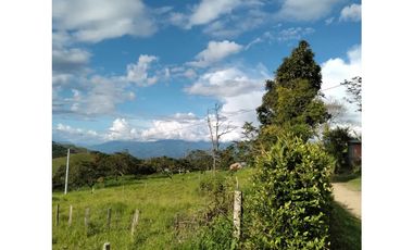 Vendo Lote en Ebejico, vía Santa Fe de Antioquia.