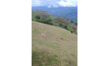 Vendo - cambio Lote en San Jeronimo