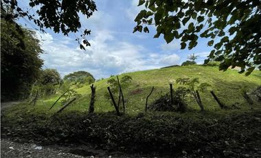 VENTA LOTE PARA USO RESIDENCIAL E INDUSTRIAL SECTOR CERRITOS PEREIRA