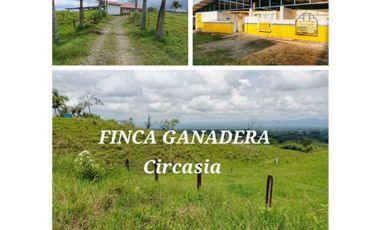 FINCA GANADERA EN CIRCACIA