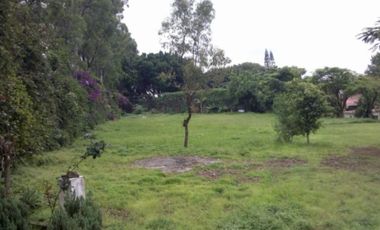 Terreno Urbano en Chamilpa Cuernavaca - ROQ-1173-Tu