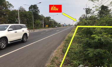 Land for sale in Song Hong, Buri Ram