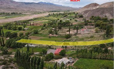 Terreno / Lote en venta de 6172m2 ubicado en Huacalera