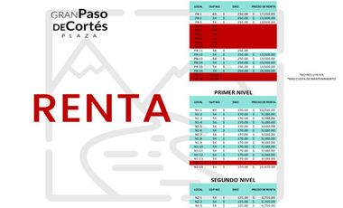 Local en venta y renta en San Pedro Cholula