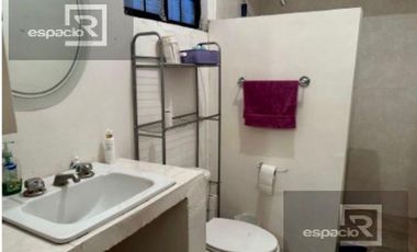 NOGALERA EN VENTA CON EQUIPO Y MAQUINARIA, EN FLORES MAGON. CHIH