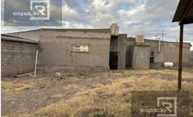 NOGALERA EN VENTA CON EQUIPO Y MAQUINARIA, EN FLORES MAGON. CHIH