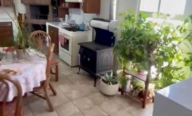 NOGALERA EN VENTA CON EQUIPO Y MAQUINARIA, EN FLORES MAGON. CHIH