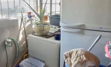 NOGALERA EN VENTA CON EQUIPO Y MAQUINARIA, EN FLORES MAGON. CHIH