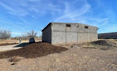 NOGALERA EN VENTA CON EQUIPO Y MAQUINARIA, EN FLORES MAGON. CHIH