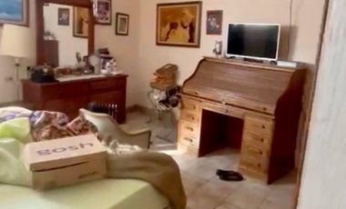 NOGALERA EN VENTA CON EQUIPO Y MAQUINARIA, EN FLORES MAGON. CHIH
