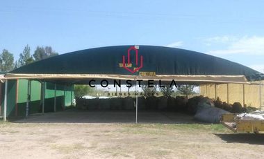 Vivero Venta $14,800,000 Cd. Delicias Chih.Cons1