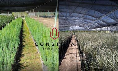 Vivero Venta $14,800,000 Cd. Delicias Chih.Cons1