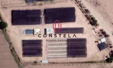 Vivero Venta $14,800,000 Cd. Delicias Chih.Cons1