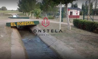 Vivero Venta $14,800,000 Cd. Delicias Chih.Cons1