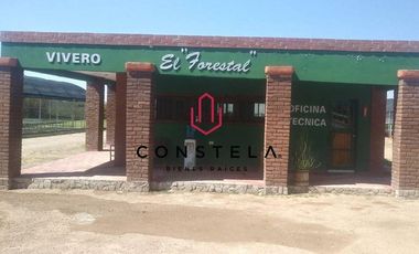Vivero Venta $14,800,000 Cd. Delicias Chih.Cons1