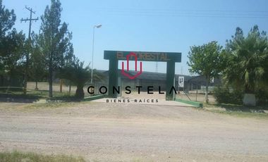 Vivero Venta $14,800,000 Cd. Delicias Chih.Cons1