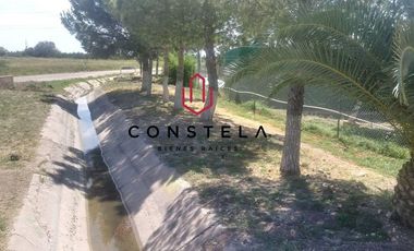 Vivero Venta $14,800,000 Cd. Delicias Chih.Cons1