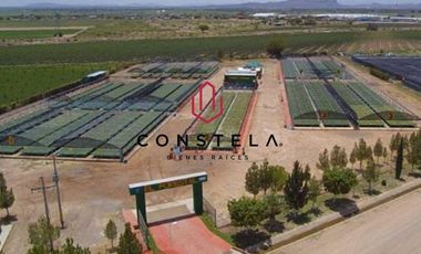 Vivero Venta $14,800,000 Cd. Delicias Chih.Cons1