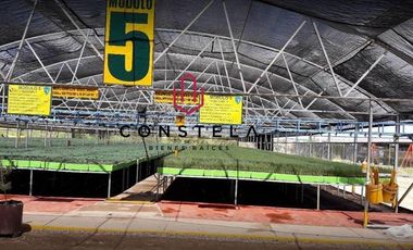 Vivero Venta $14,800,000 Cd. Delicias Chih.Cons1