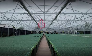 Vivero Venta $14,800,000 Cd. Delicias Chih.Cons1