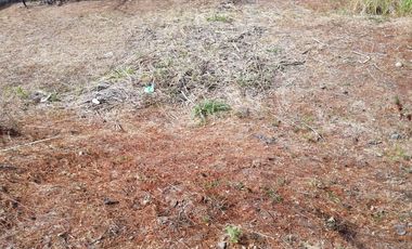 Terreno - Cuernavaca