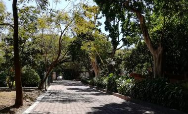 Terreno - Cuernavaca