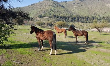 Venta Terreno 2.200 m2 - La Florida