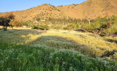 Venta Terreno 2.200 m2 - La Florida