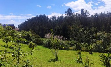 En Venta propiedad Campestre 2482m2 sector La Merced