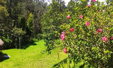 En Venta propiedad Campestre 2482m2 sector La Merced