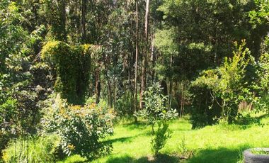 En Venta propiedad Campestre 2482m2 sector La Merced