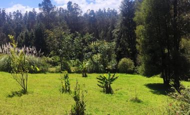 En Venta propiedad Campestre 2482m2 sector La Merced