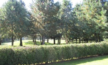 Casa - Club de Golf los Encinos