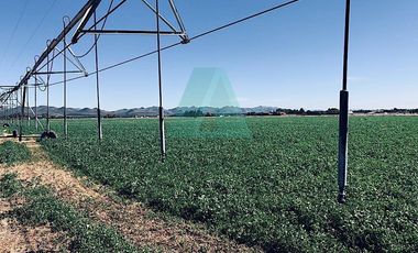 Oportunidad de Rancho Agricola por Sacramento, Fego