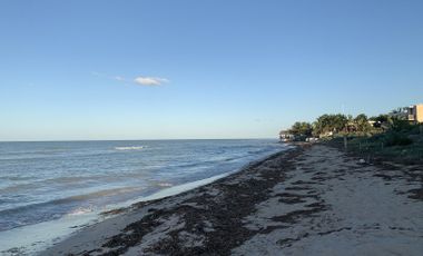 Terreno de Playa en San Benito, Telchac, pto.