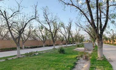 TERRENO EN VENTA EN CAMPOTERRA, TORREÓN