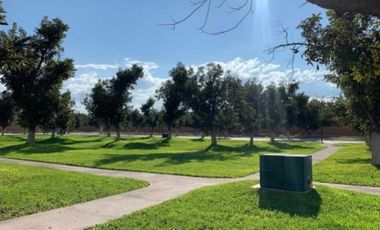 TERRENO EN VENTA EN CAMPOTERRA, TORREÓN
