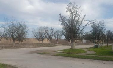 TERRENO EN VENTA EN CAMPOTERRA, TORREÓN