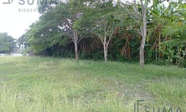 Terreno en Venta frente al Río Tamesí, Altamira Tamaulipas.